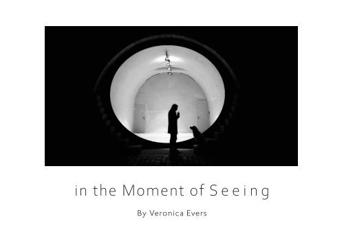 veronica-evers-in-the-moment-of-seeing