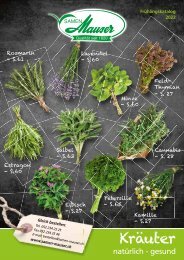 CICORIA TRIESTINA Semences biologiques pour légumes en sachet à usage amateur 
