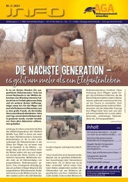 Die nächste Generation - es geht um mehr als ein Elefantenleben