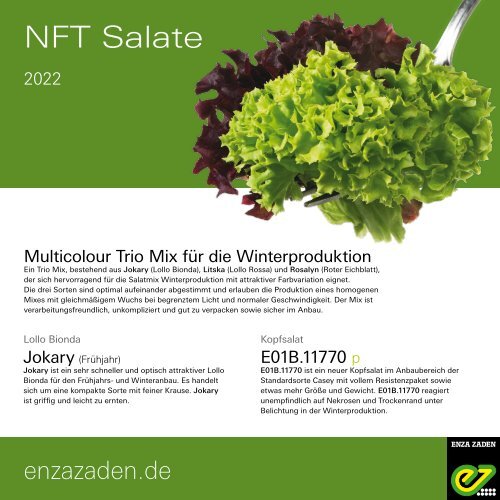NFT Salate 2022