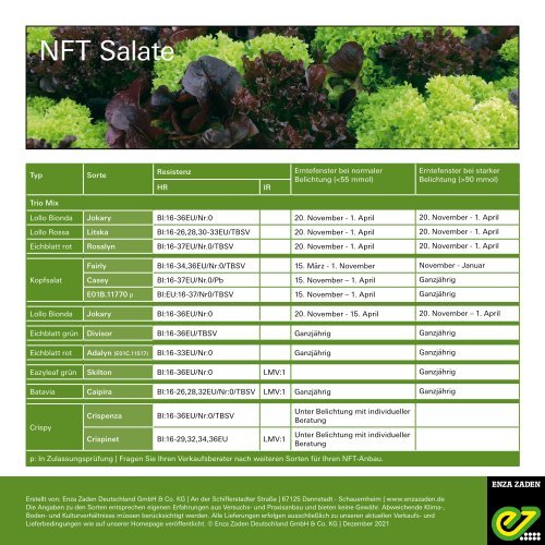 NFT Salate 2022