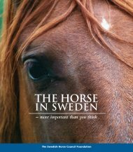 the Horse in Sweden – more important than you think