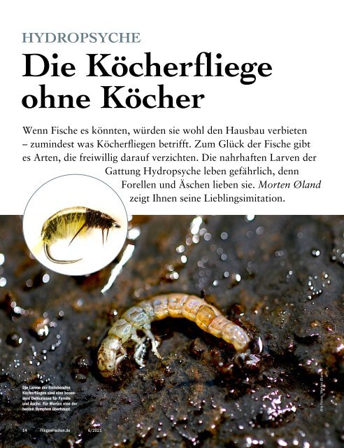 Fliegenfischen_06_2021