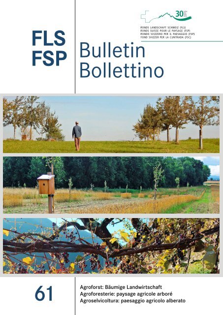 FLS-Bulletin Nr_61