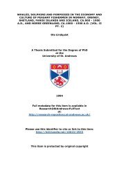 Ian Thomson Phd Thesis Vol 3