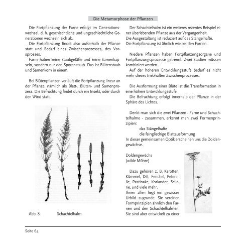 Sammelband biodynamische landwirtschaft i ... - Demeter