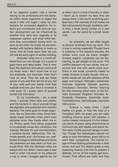ISSUE IV