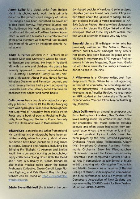 ISSUE IV