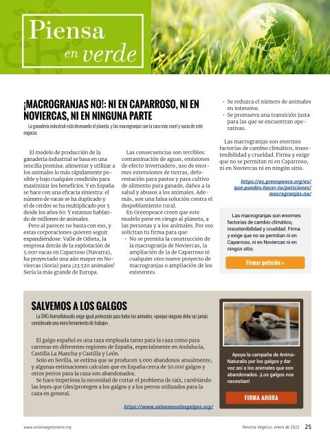 Revista Vegetus nº 42 (Enero- Marzo)