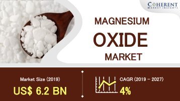 Magnesium Oxide Market Faces Mounting Pricing Pressure | Business Insights                    