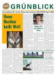 GRÜNBLICK Umweltblatt Nr. 63 der Naturschutzstation MALCHOW ...