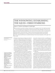 THE WINNOWING: ESTABLISHING THE SQUID–VIBRIO SYMBIOSIS