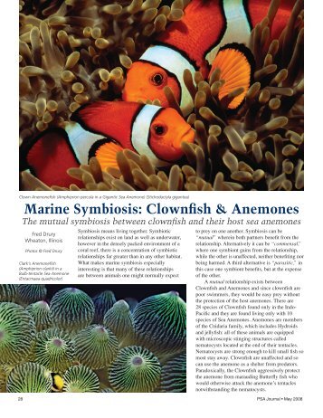 Marine Symbiosis: Clownfish & Anemones - PSA