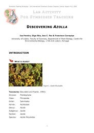 LAB ACTIVITY FOR SYMBIOSIS TEACHING DISCOVERING AZOLLA