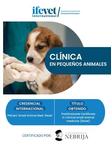 Folleto Postgrado de Clínica de Pequeños Animales