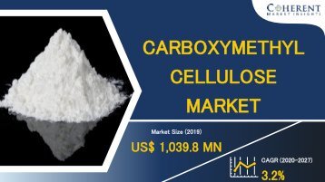 Intense Competition in the Asia-Pacific Carboxymethyl Cellulose Market