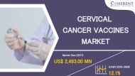 The Impact of Large-Scale Mergers on the Cervical Cancer Vaccines Market
