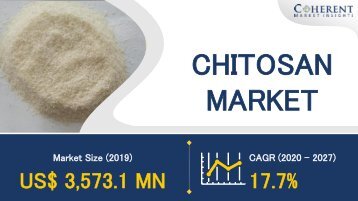 Chitosan Market Recovering After Difficult Year