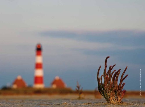 Kunstband am Nationalpark - Nationalpark Wattenmeer