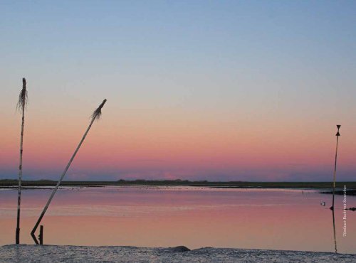 Kunstband am Nationalpark - Nationalpark Wattenmeer