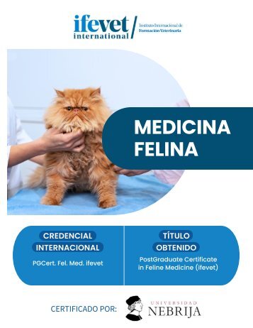 Folleto Postgrado de Medicina Felina ifevet - UCV