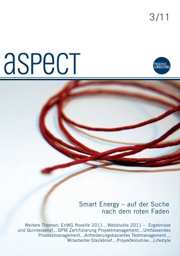 Smart Energy - Process Management Consulting GmbH