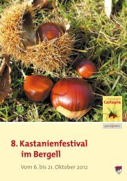 8. Kastanienfestival im Bergell - kastanienland.ch