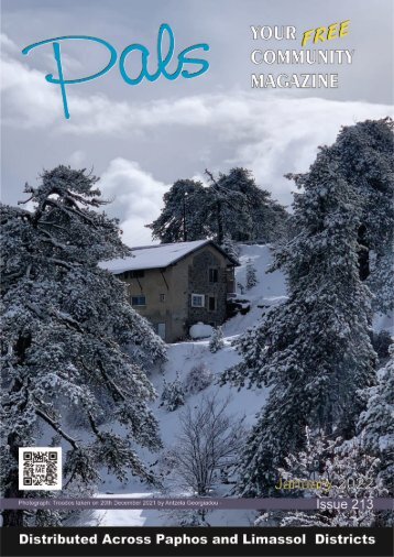 Pals Magazine January 2022 Issue