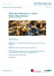 Film des Monats 11/ 2012: More than Honey - Kinofenster.de