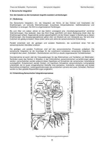 4. Sensorische Integration Von den basalen zu den komplexen ...