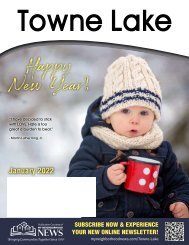 Towne Lake January 2022
