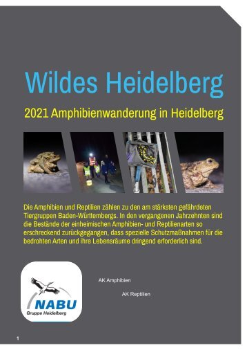 Die Amphibienwanderung  2021 in Heidelberg 
