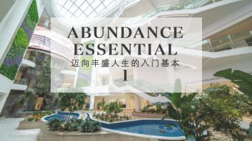 Abundance Essential 1