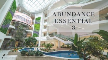 Abundance Essential 3