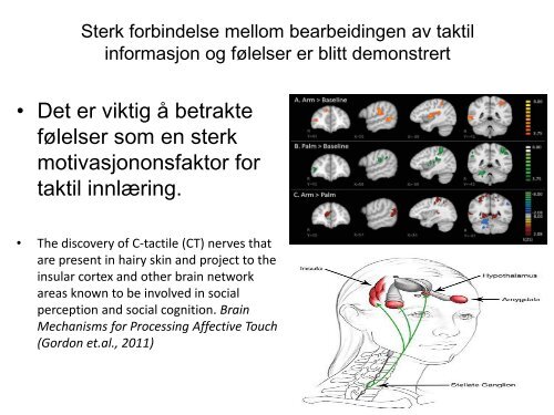 Taktil persepsjon