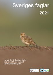 Sveriges fåglar 2021