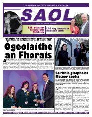 Meteor seolta - Foras na Gaeilge