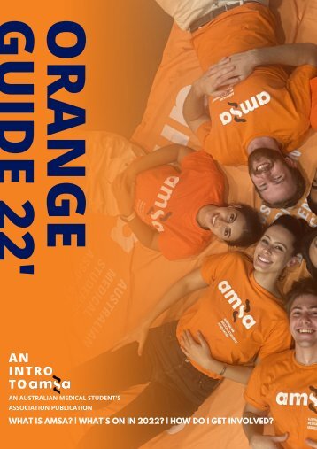 AMSA ORANGE GUIDE 22'