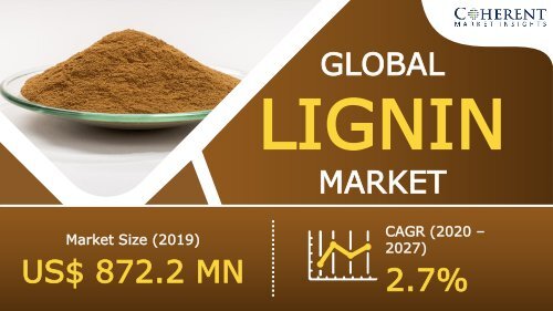 Current Market Dynamics, Future Market Opportunities : Lignin Market