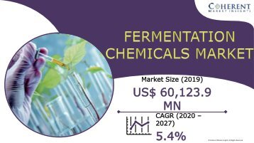 Fermentation Chemicals Market To Surpass US$ 91,921.1 Million By 2027