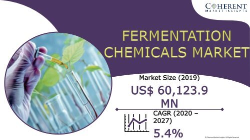 Fermentation Chemicals Market To Surpass US$ 91,921.1 Million By 2027