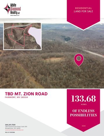 Mt. Zion Road [Land] Marketing Flyer