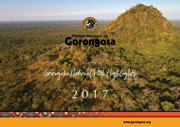 2017 Highlights