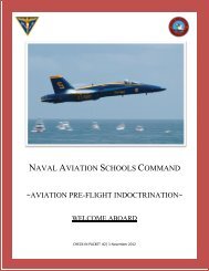 NAVAL AVIATION SCHOOLS COMMAND - NETC