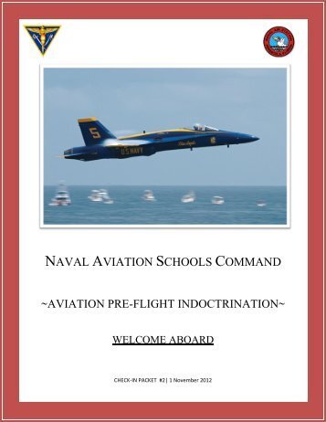 NAVAL AVIATION SCHOOLS COMMAND - NETC