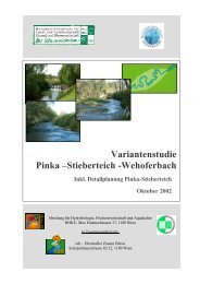 Variantenstudie Pinka - EZB (Eberstaller-Zauner Büros)