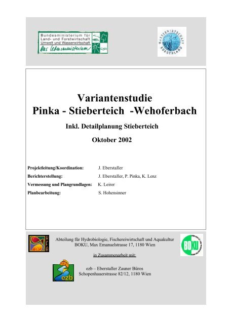 Variantenstudie Pinka - EZB (Eberstaller-Zauner Büros)