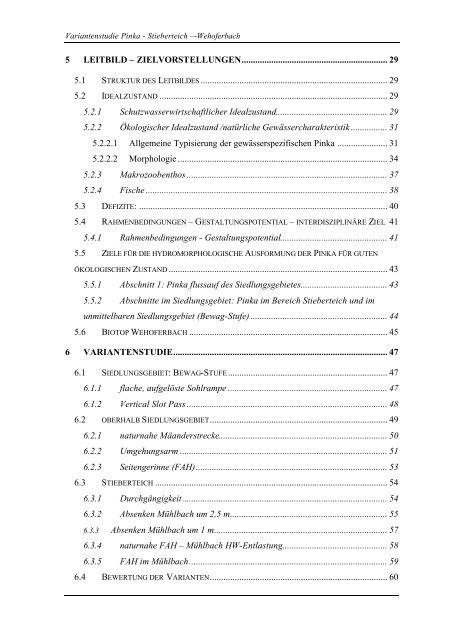 Variantenstudie Pinka - EZB (Eberstaller-Zauner Büros)