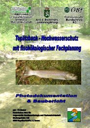 Toplitzbach - Hochwasserschutz mit fischökologischer Fachplanung