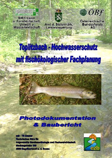 Toplitzbach - Hochwasserschutz mit fischökologischer Fachplanung